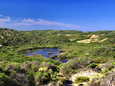 Wetland of Es Prat de Morella