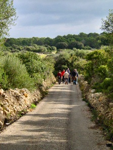 Camino de Es Pontarr