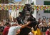 Sant Antoni Fiestas in Fornells