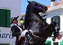 The horse fiestas reach Es Mercadal and Fornells