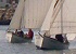 Gathering of lateen rig and classic boats